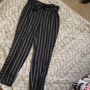 Express Dress Pants